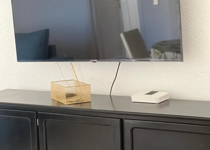 Palmas 6 *
