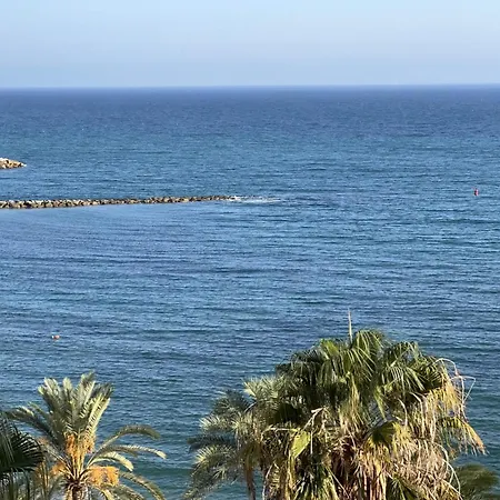 Palmas 6